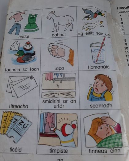 Fallons vintage Gaeilge books