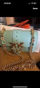 Pinko bag