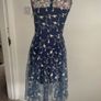 dress Bnwt Paisie occasion wear dress size 10 Image 5