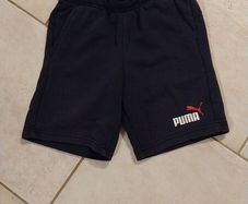 7yrs puma