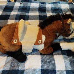 Horse Ride on Teddy