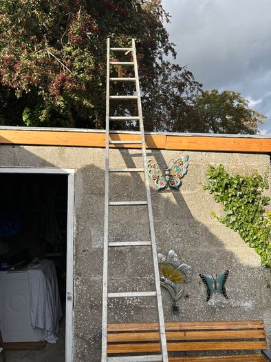 Ladder 12 foot 6 inch