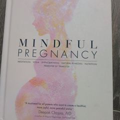 Mindful Pregnancy Book by Tracy Donegan