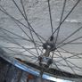 bicycle rims Image 5