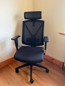 Ergonomic Home Office Chair