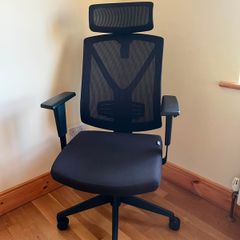 Ergonomic Home Office Chair