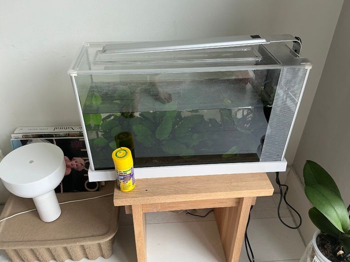 Fish tank