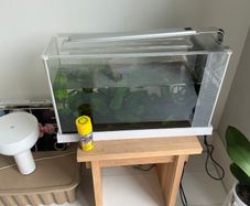Fish tank