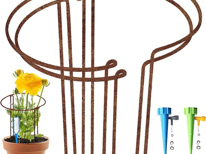 Large 60cm Tall Rusty Bow Plant Support Stakes Half Round Natural Rust ...