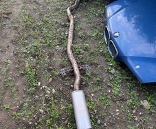 E39 530d Exhaust