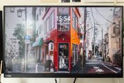 Lenovo ThinkVision 24 inch Full HD LED Monitor