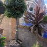 Bay Trees Image 8