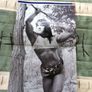 WWF Raw Magazine October 1998 Attitude Era Chyna Image 3