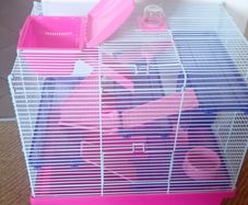 Hamster cage