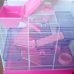 Hamster cage