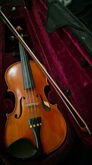 Violin
