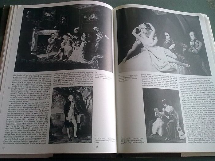 The Painters of Ireland c.1660-1920 Irish History Art