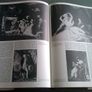 The Painters of Ireland c.1660-1920 Irish History Art Image 6