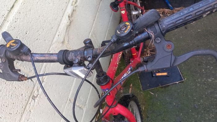 Free to take away adult bike