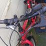 Free to take away adult bike Image 2
