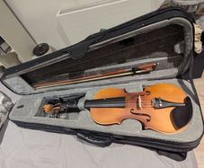 Violin