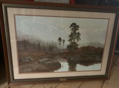 Framed Picture