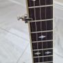 AP Toman Long Neck 5 String Banjo Image 6