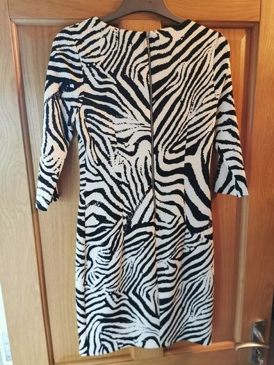 Zara Zebra Print Dress
