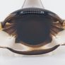 Murano Vintage V. Nason & C. - Summer Sofa Vase Image 2