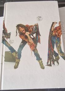 Steven Tyler -  Does the Noise in My Head Bother You?  A Rock n Roll Memoir