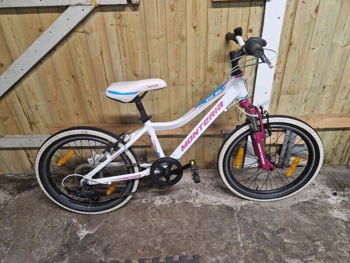 Girls 20" Bike