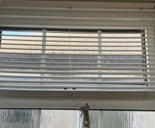 Venetian blind
