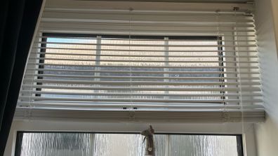 Venetian blind