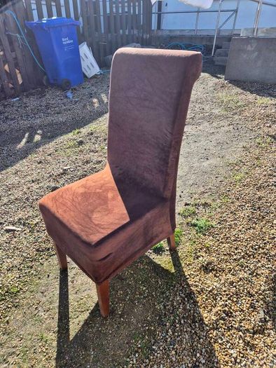 Dining Chairs