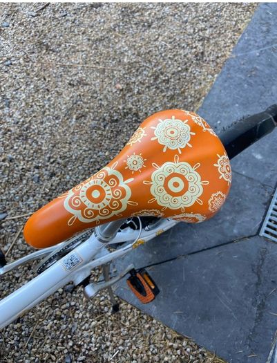 20 inch girls Raleigh bike