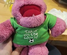 teddy