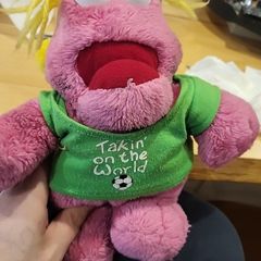 teddy