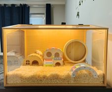 hamster cage