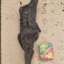 bog oak Image 4