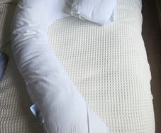 dream genii pregnancy pillow