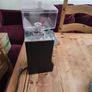 Eureka Mignon Specialita Coffee Grinder Like New Image 3