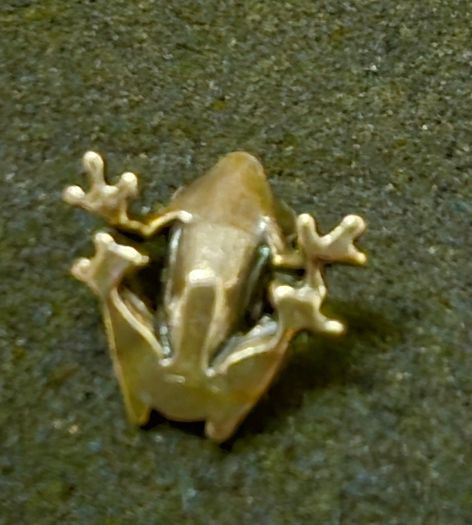 3 brass frogs.
