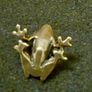 3 brass frogs. Image 8
