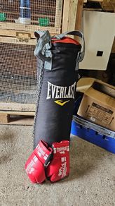 Everlast boxing bag and gloves