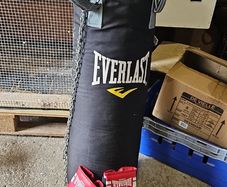 Everlast boxing bag and gloves