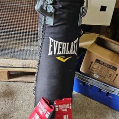 Everlast boxing bag and gloves
