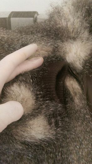 Fur leather coat.New.size 10