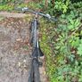 Carrera mountain bike Image 3