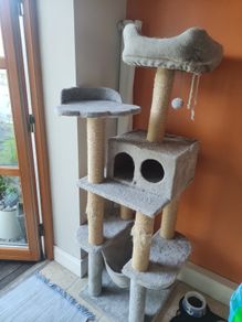 Cat's  tower