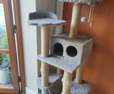 Cat's  tower